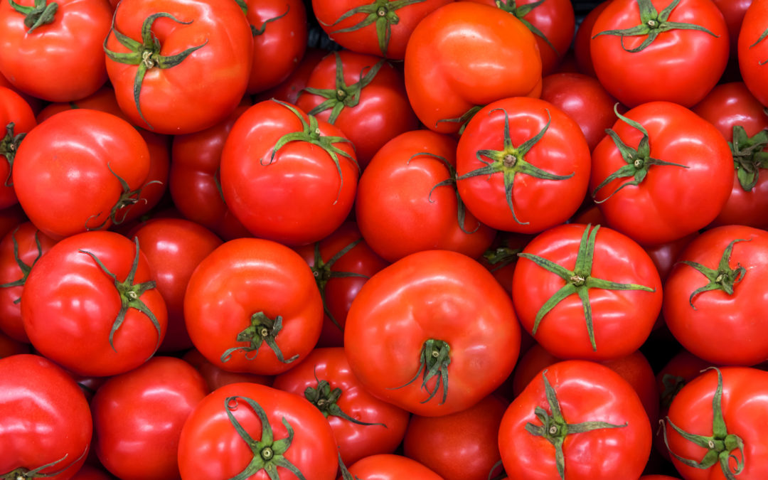 Retour des marchés turripinois du mardi et du samedi