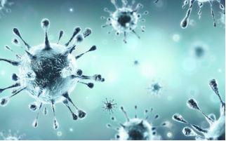 Coronavirus : fermeture équipements recevant du public